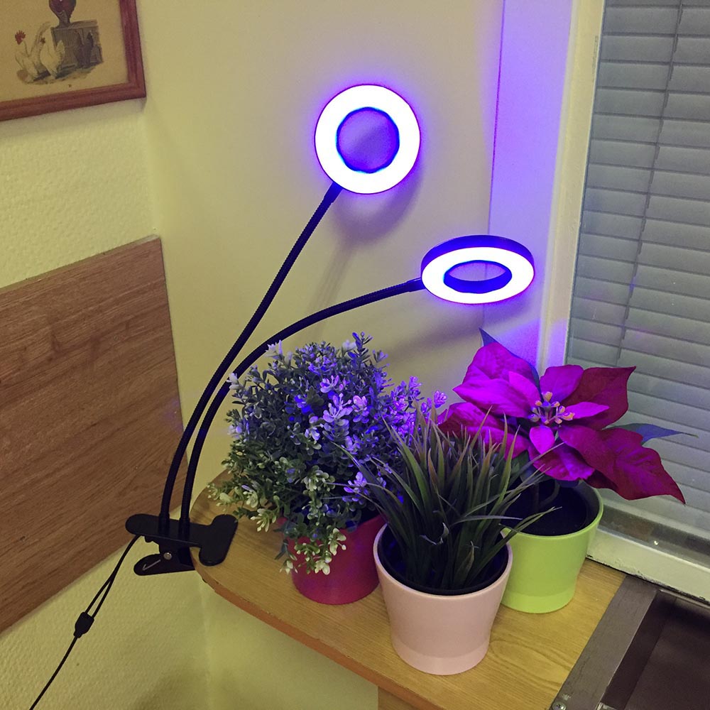 картинка Светодиодный фитосветильник Espada Fito E-EPS2 220V, 2 лампы, круглый с блоком питания для выращивания рассады и досветки растений 